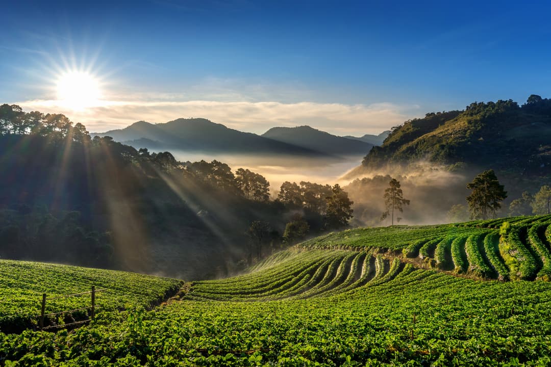 About Munnar Destination Makers